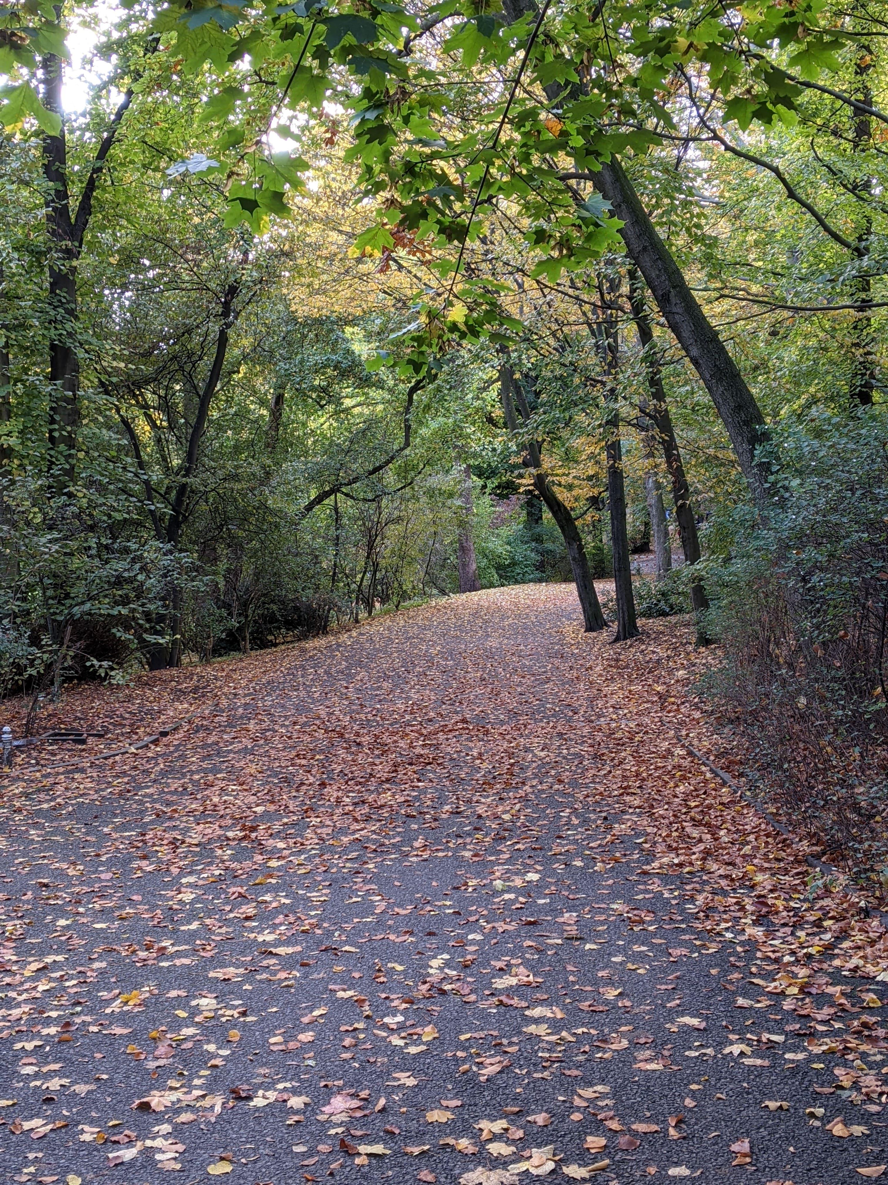 Image of Rudolph Wilde Park - August 2020